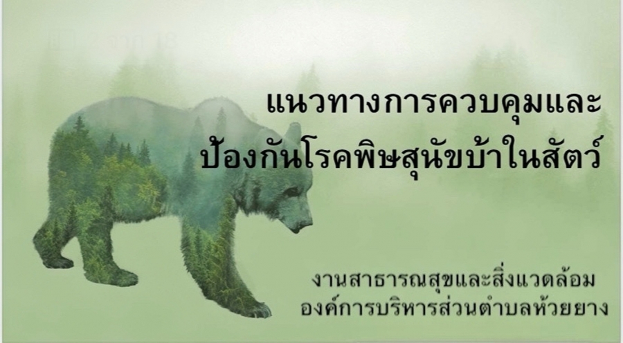 แนวทางการควบคุมและ ป้องกันโรคพิษสุนัขบ้าในสัตว์